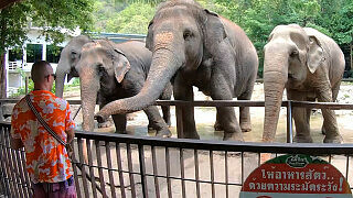 Amateur Thai girlfriend went a day out and has sex afterwards with BF